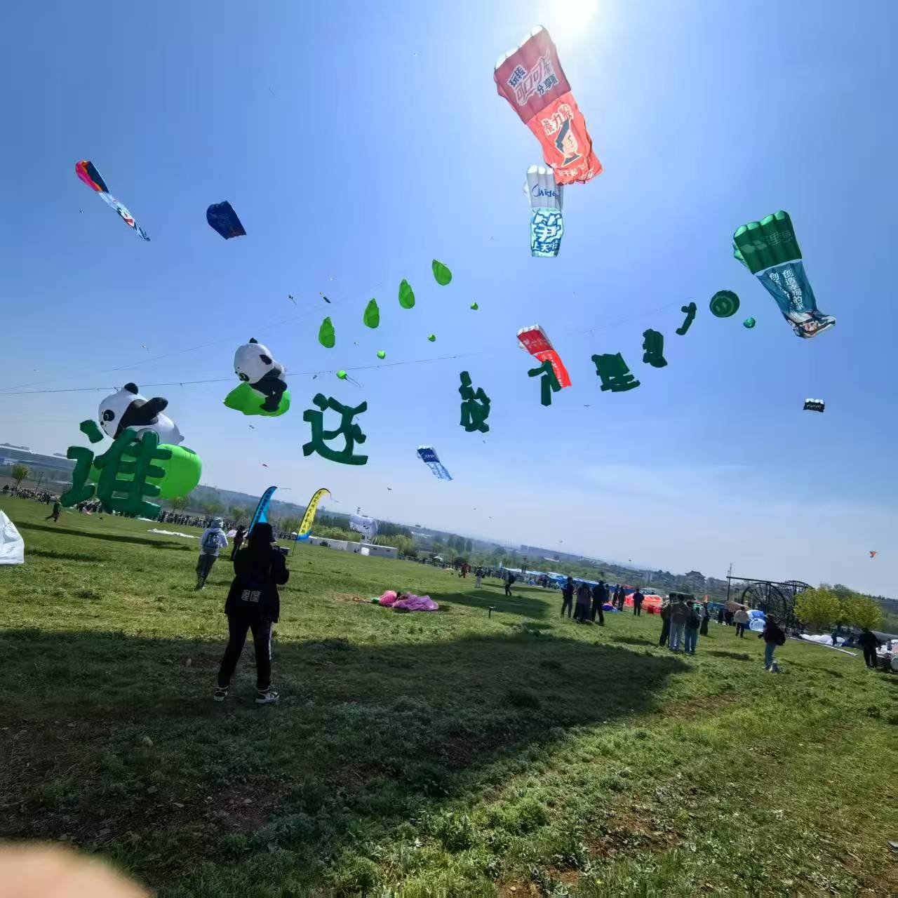 丽水市风筝定制风筝定制 - 厂家